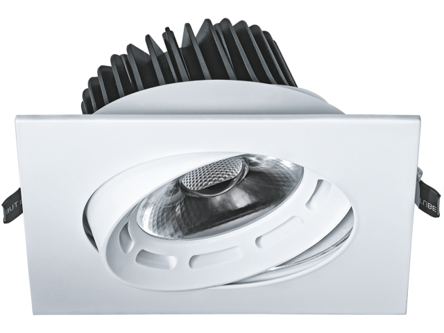 NDL-PS2 Встраиваемые направленного света